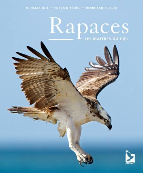 Rapaces