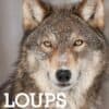 Loups de Todd K. Fuller