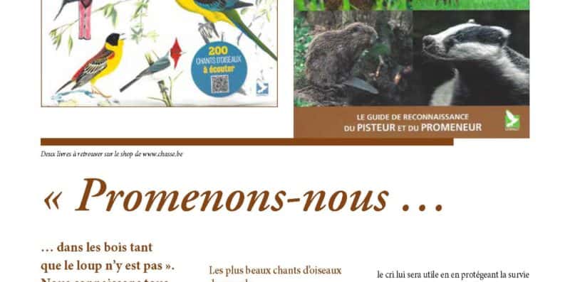 chasse nature article editions du gerfaut 1