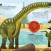 livre extraordinaires dinosaures 5