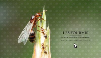 le monde des fourmis livre Page 002