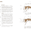 le monde des fourmis livre Page 009