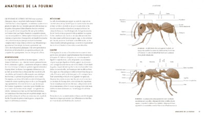 le monde des fourmis livre Page 009