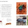 le monde des fourmis livre Page 010