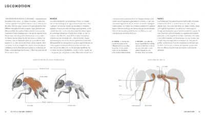 le monde des fourmis livre Page 012