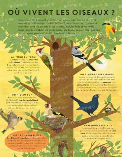 Des oiseaux par milliers Page 12