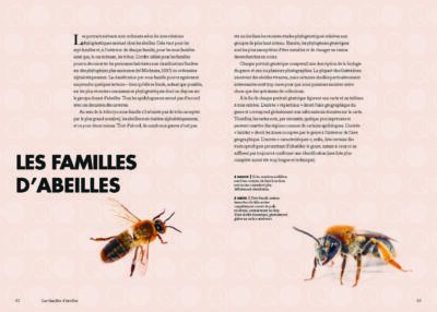 Les abeilles du monde Page 022