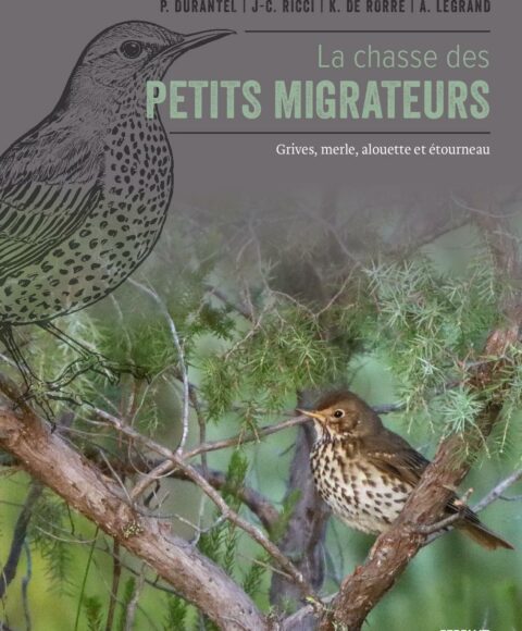 LA CHASSE DES PETITS MIGRATEURS Grives, merle, alouettes et étourneau