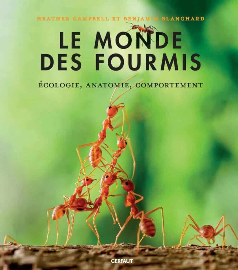 Newsletter octobre 2024 - L'éditeur curieux de nature